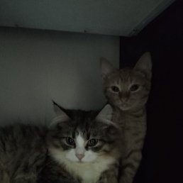 ���� ����� �������, �������, 24 ���� - ��������� 10 ������� 2025