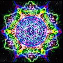 ���� Baggysaggerwet, �����, 51 ��� - ��������� 26 ������� 2025 � ������ ���� ����������