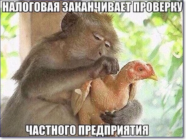 ? ,  ! - 31  2024  00:37