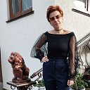 ���� ��������, �����������, 49 ��� - ��������� 5 ������ 2024 � ������ ���� ����������