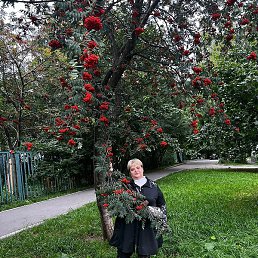 �����, ������, 72 ����