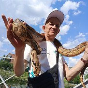 �������, 45 ���, ����