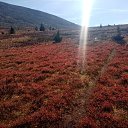 ���� ���������, �����, 37 ��� - ��������� 13 �������� 2024 � ������ ������ ��������