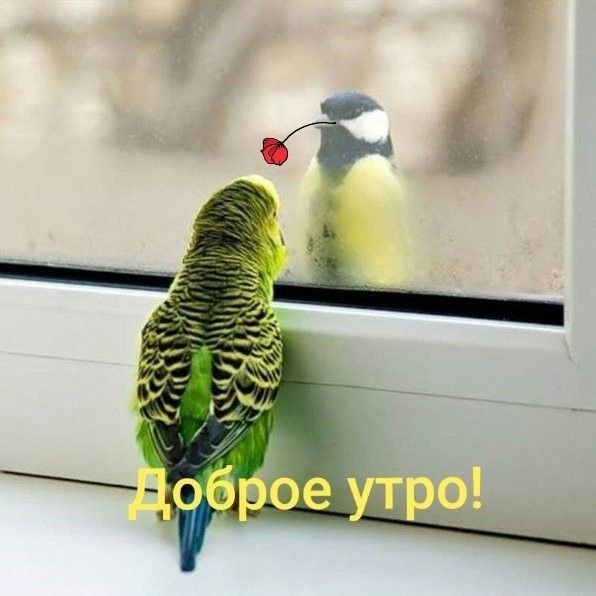   ,    . - 27  2024  14:38 - 3