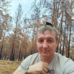 , 33, 