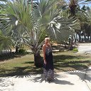 ������ �����������, ��� ������, ������, ������������ ������� ������ -������������ ���� �� �.����. �������� "������� ������" ���������� �� ����������-�������� ������ �� �� �������� �������. ������� ������������� �������� ��������� ������� � ���������� (�������� �������). ������� � ����� �������� ��������� ���� �����. �� ������� ���������� ������� 2024�.�