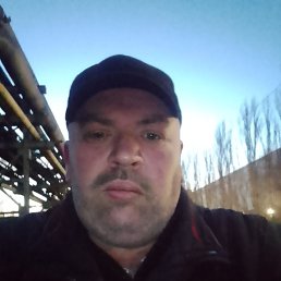 ����, 44 ����, �����