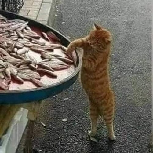      ,    =>