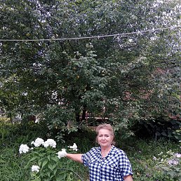 ���� �������, ������, 54 ���� - ��������� 16 ���� 2025