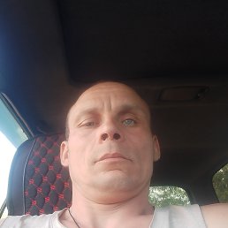 �����, 41 ���, ������-��-����