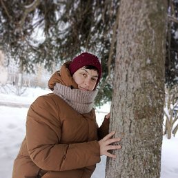 ���� �������, ������, 37 ��� - ��������� 3 ������ 2026