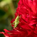 ���� ����� 🎗, ������ - ��������� 31 ����� 2026 � ������ ���� �����������