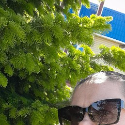 �����, 39 ���, ������