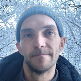 �������, ������, 41 ���