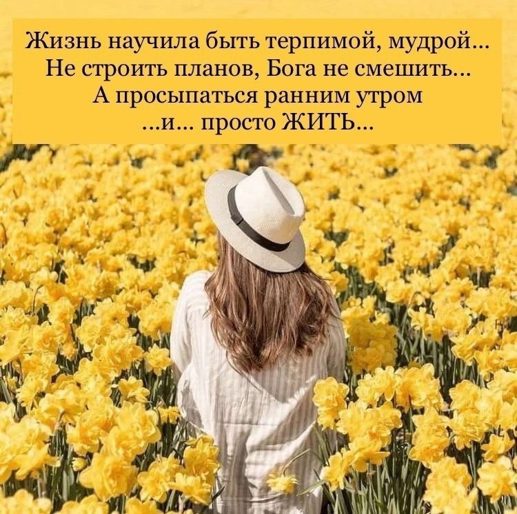 Екатерина - 29 мая 2025 в 08:24