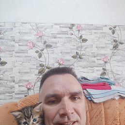 , 47 , 