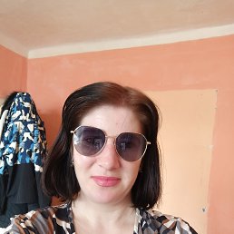 ���� �����, ������, 33 ���� - ��������� 13 ����� 2024