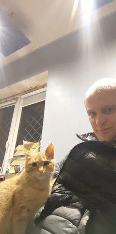 ���� �����, �������, 40 ��� - ��������� 15 ������� 2026