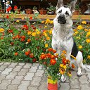���� ����@, ��������� - ��������� 17 ����� 2026 � ������ ���� ����������