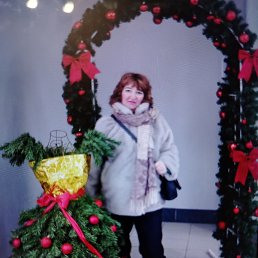 ��������, 44 ����, ������