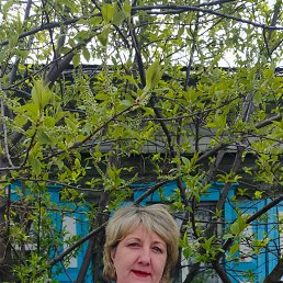 ���� ������, �����������, 46 ��� - ��������� 5 ��� 2025