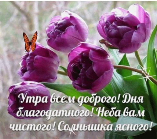 �������� �� ����� ����. - 18 ������ 2026 � 04:59
