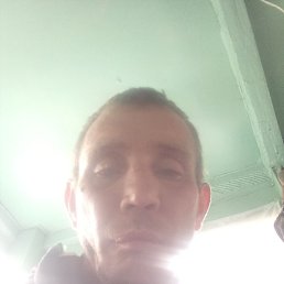 , , 41 
