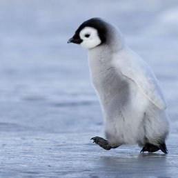 ���� D, ������������, 34 ���� - ��������� 16 ������ 2024