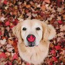 ���� �����, ������, 45 ��� - ��������� 25 ������ 2024 � ������ ���� ����������