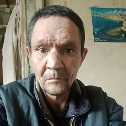 ����, 49 ���, �����������