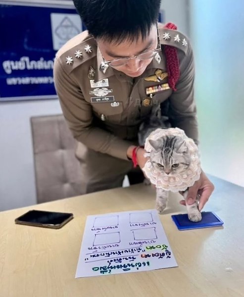 � �������� �� ����� ������ ��������� ��������: � �������� � ������� ��������, ����� ����� �������, ... - 2