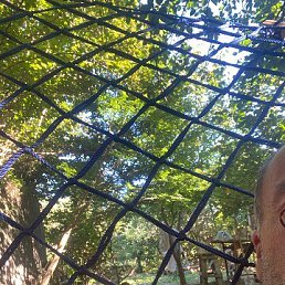 ���� Otari, �������, 53 ���� - ��������� 4 ���� 2024