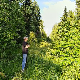 �������, ������������, 28 ���