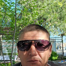 , 33, -