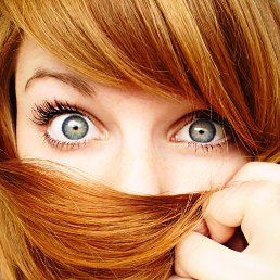 ���� ������, �����, 40 ��� - ��������� 13 ������� 2023