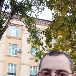 ���� �����, ���������, 41 ��� - ��������� 13 ������� 2024