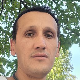 �����, �����-���������, 42 ����