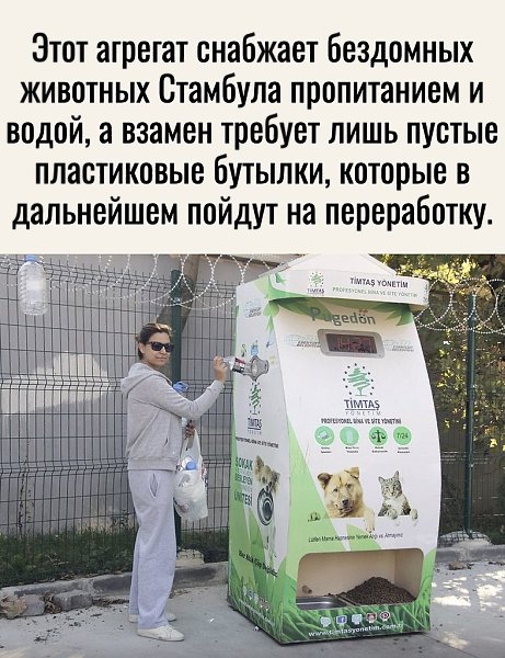     . - 3