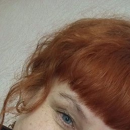 �������, ��������, 48 ���