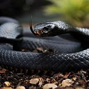 ���� ����, �����-���������, 55 ��� - ��������� 6 ���� 2024 � ������ ���� ����������
