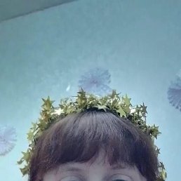 �����, 33 ����, �����������