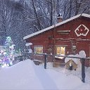 ���� �������, ������, 40 ��� - ��������� 14 ������ 2026 � ������ �����