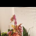 ���� ��������, ������, 63 ���� - ��������� 14 ������� 2023 � ������ ���� ����������