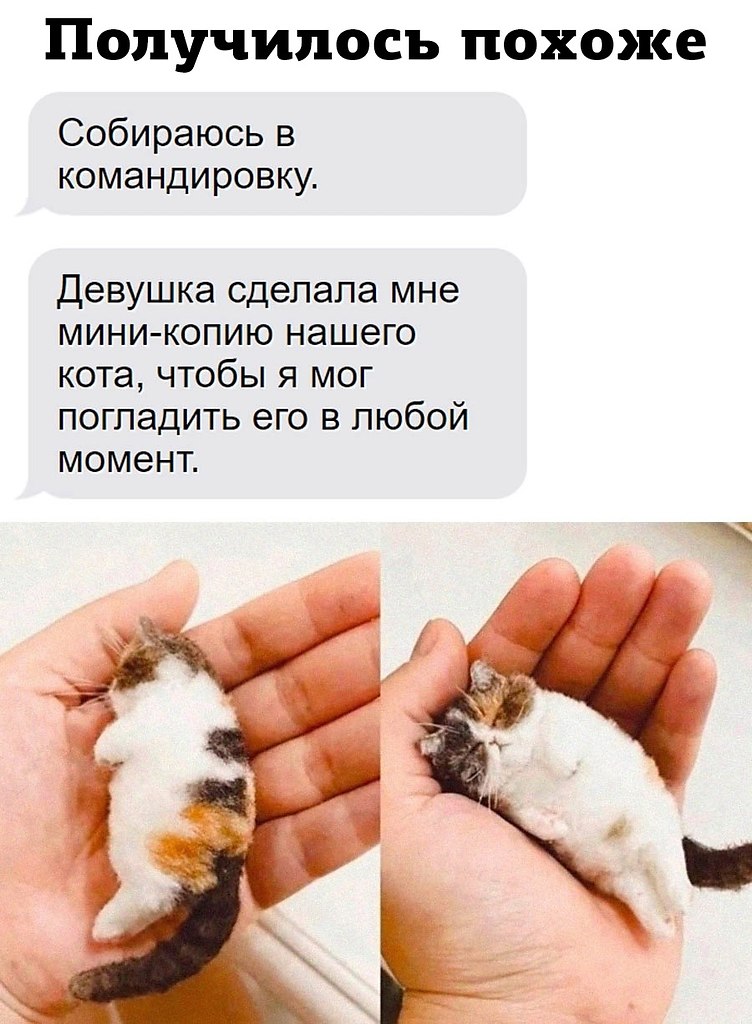 JPG - 22  2024  13:13