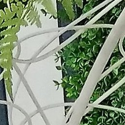 �������, ����������, 46 ���