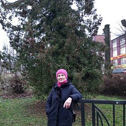 �������, ��������, 69 ���