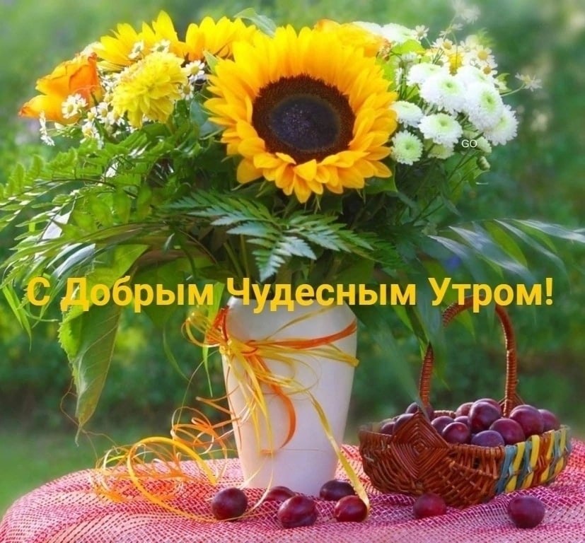   ,    . - 17  2025  08:19