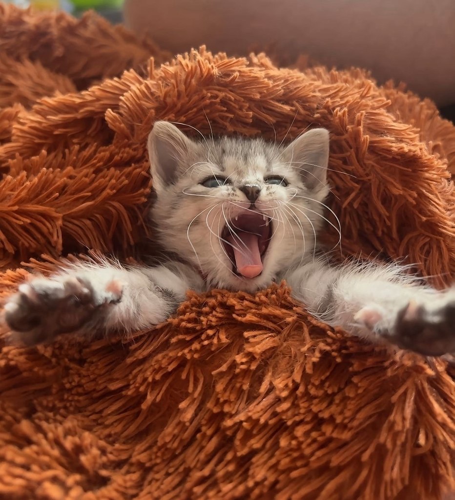 ��� ���-��� ���������! - 4