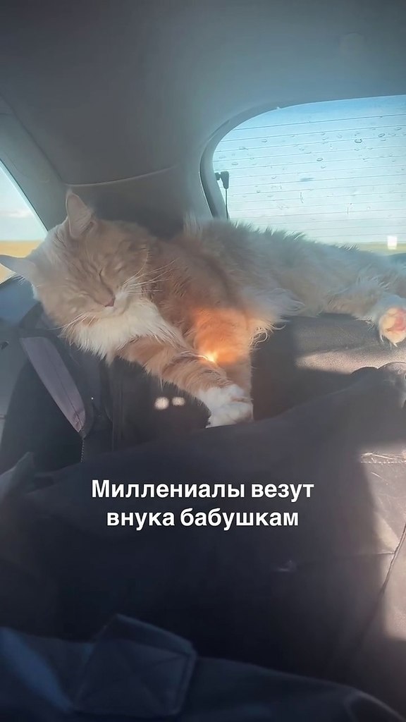   !)
