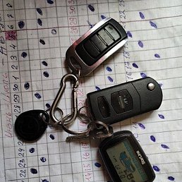 ��������, ������, 51 ���